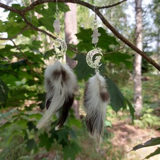 Sulkakorvikset Kuutamojänis