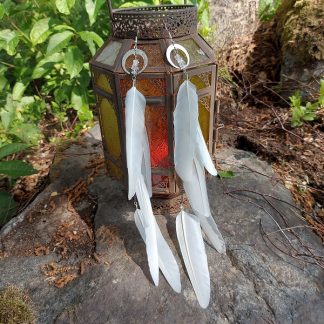 Sulkakorvikset Kristallikuu