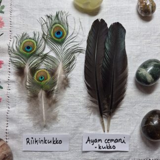 Sulka-mix 5 kpl #6 (ayam cemani, riikinkukko)