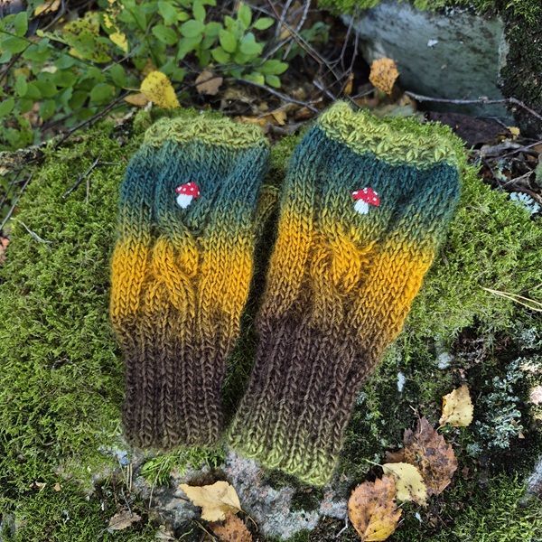 Kämmekkäät Kärpässieni (S)