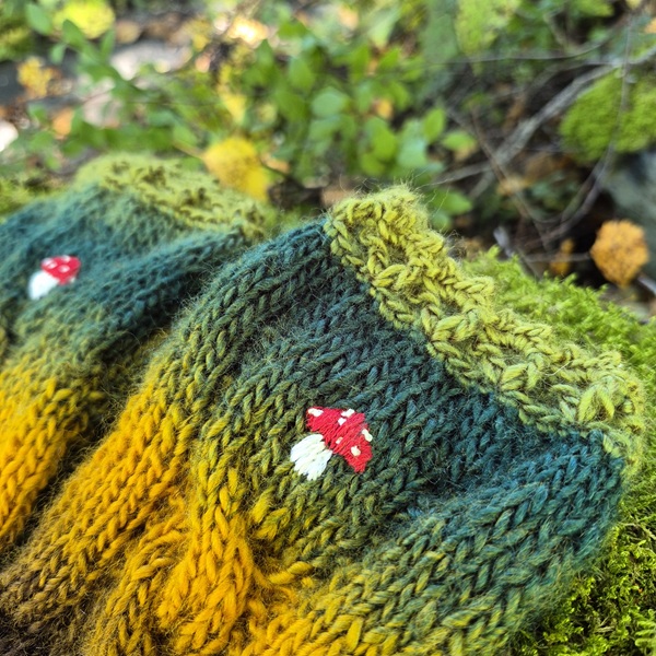 Kämmekkäät Kärpässieni (S) - Image 3